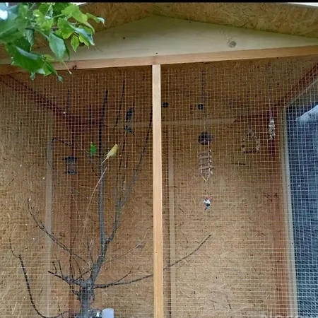 مزرعة للإقامة Z Goralska Dusza Sleboda Jurgów