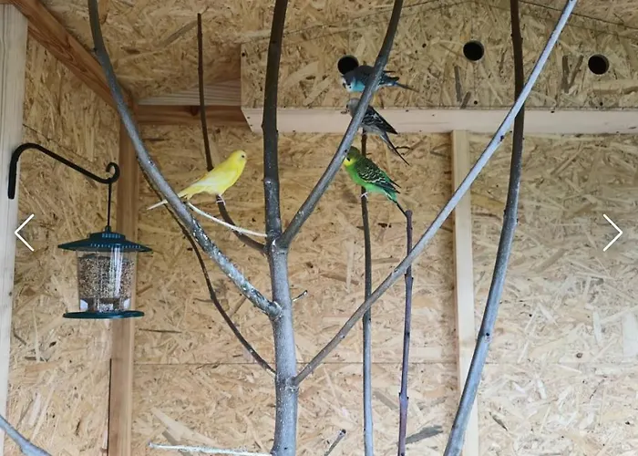 مزرعة للإقامة Z Goralska Dusza Sleboda