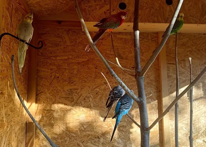 Z Goralska Dusza Sleboda مزرعة للإقامة *